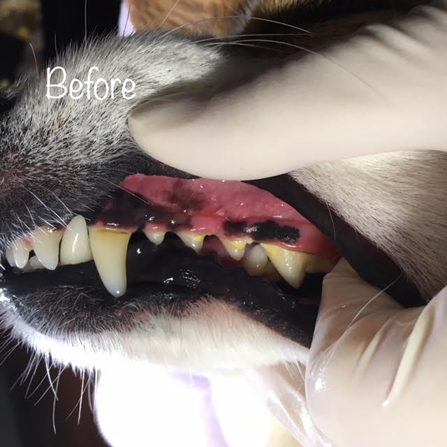 Before Before