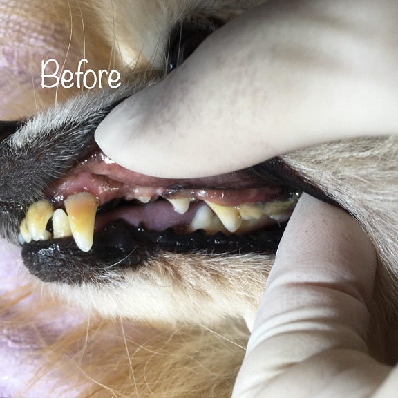 Before Before