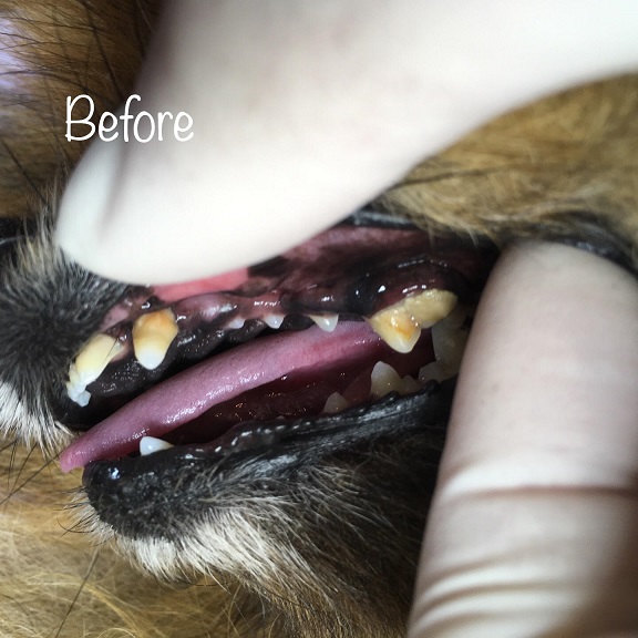 Before Before
