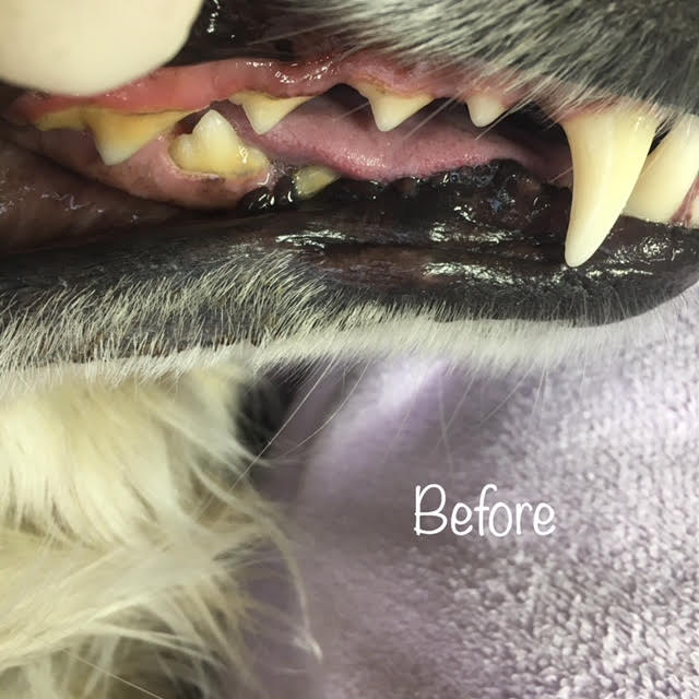 Before Before