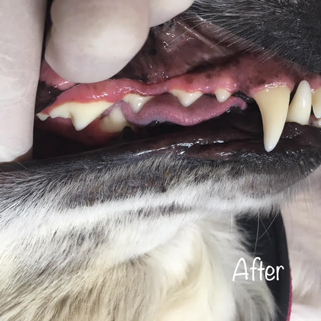 After After