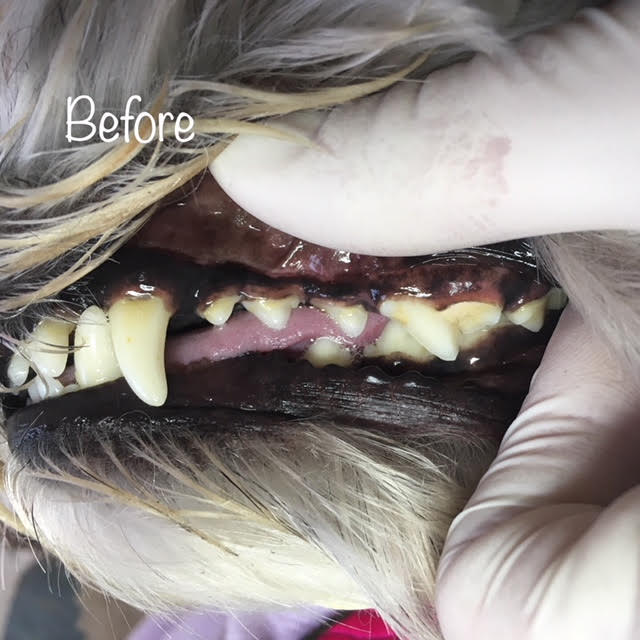 Before Before