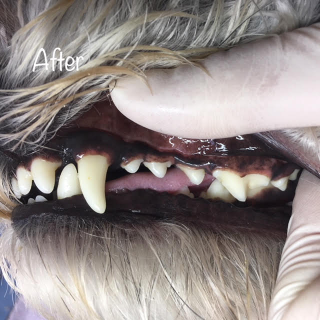 After After