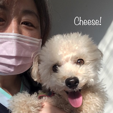 Cheese Cheese