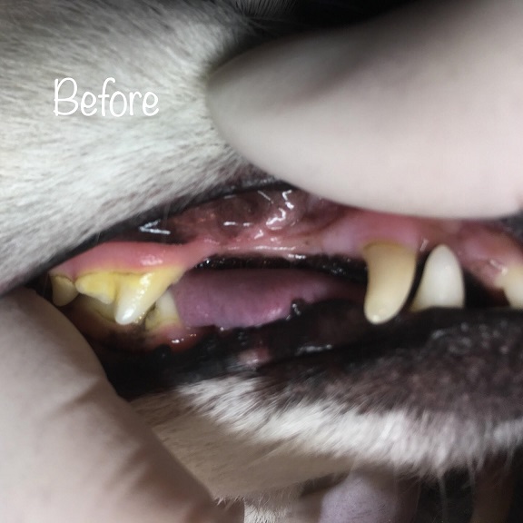 Before Before