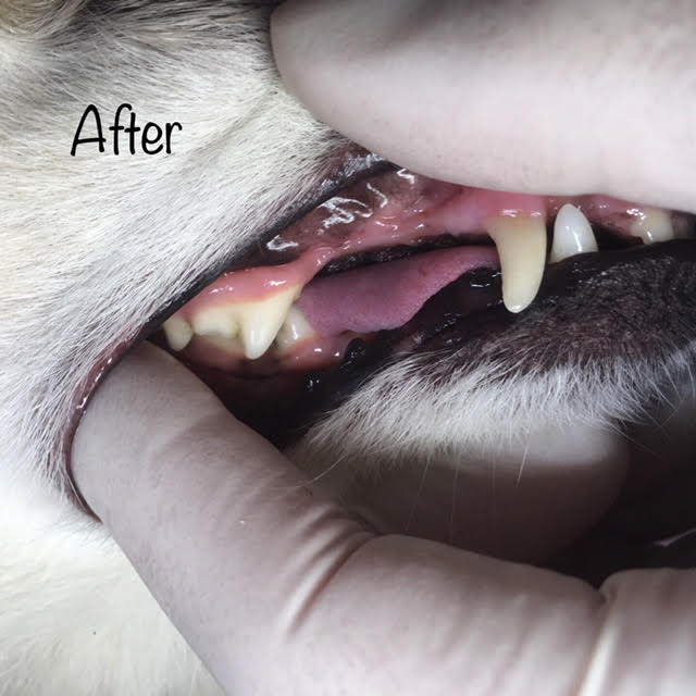 After After