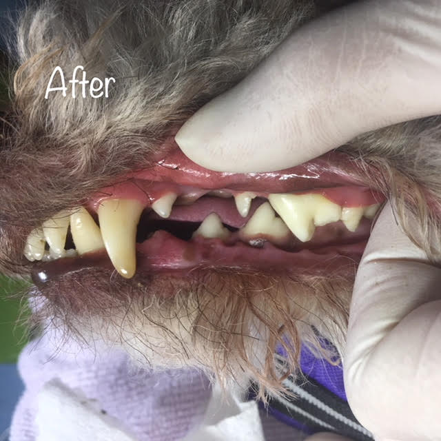 After After