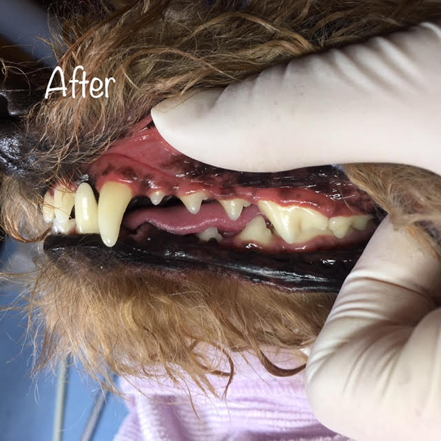 After After