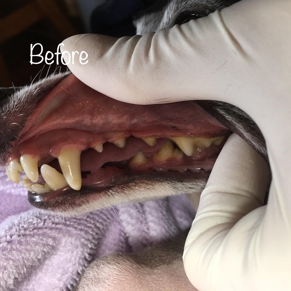 Before Before