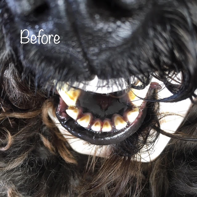 Before Before