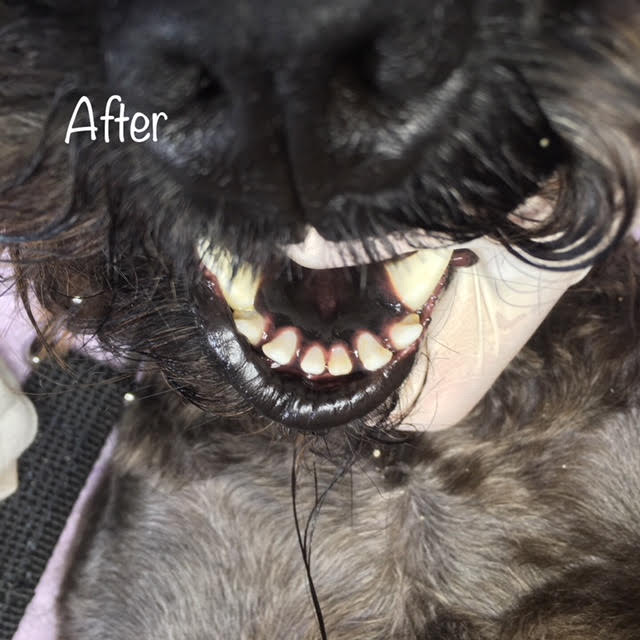 After After