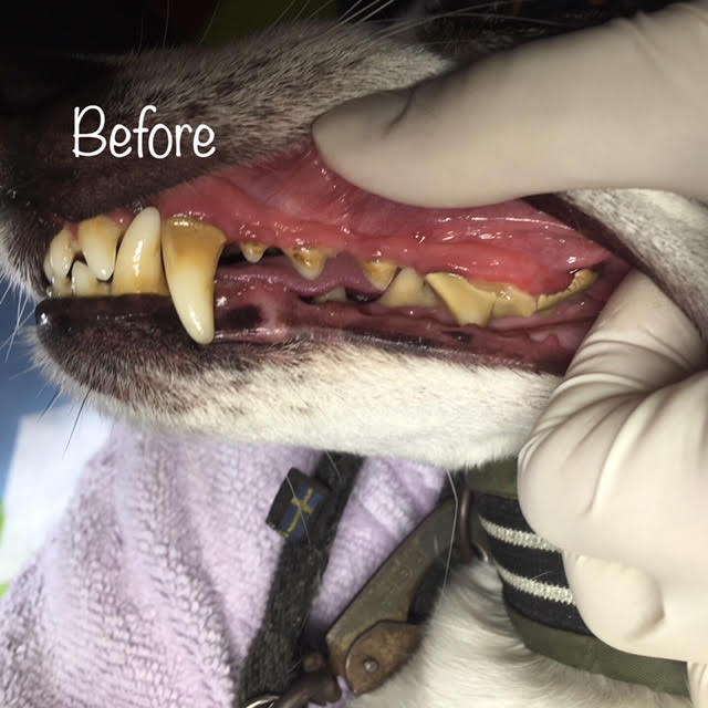 Before Before