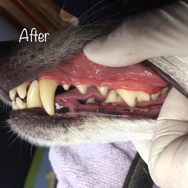 After After