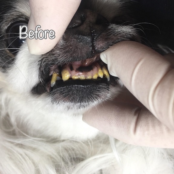 Before Before