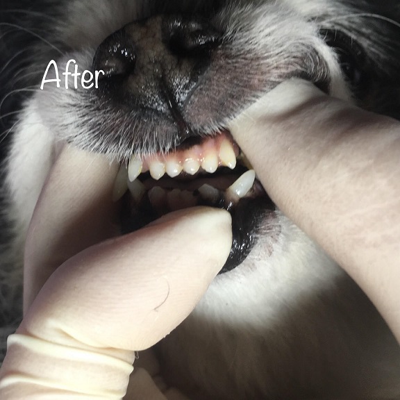 After After