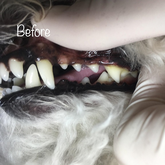 Before Before