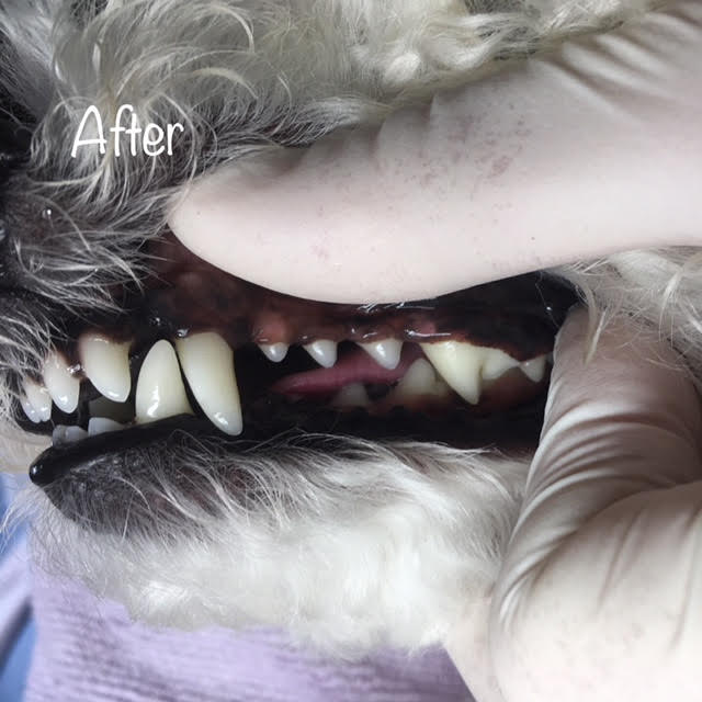 After After
