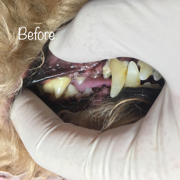 Before Before