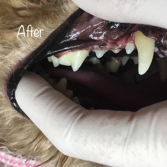After After