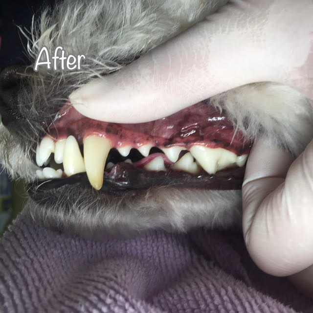 After After