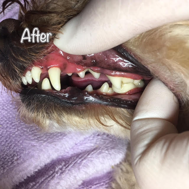 After After