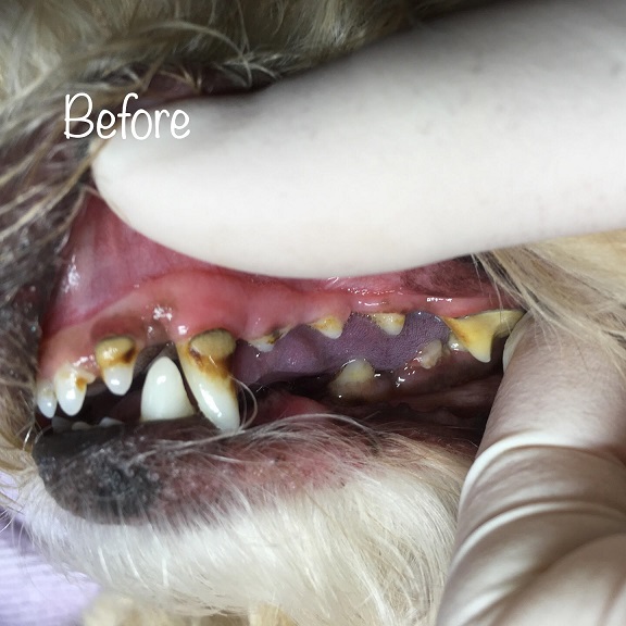 Before Before