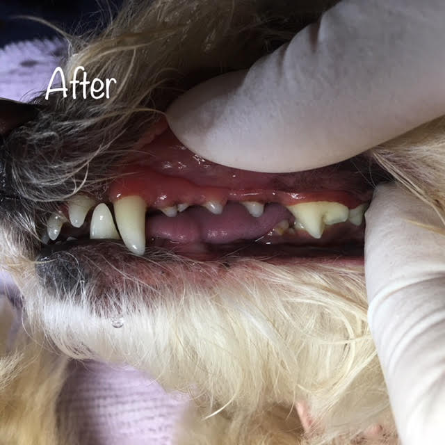 After After