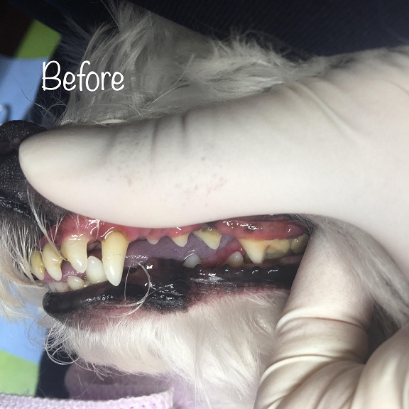 Before Before