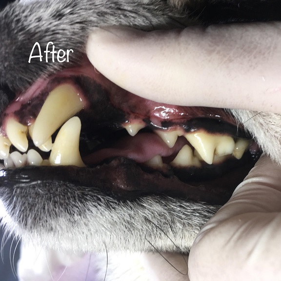 After After