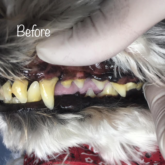 Before Before