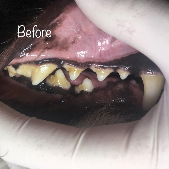 Before Before