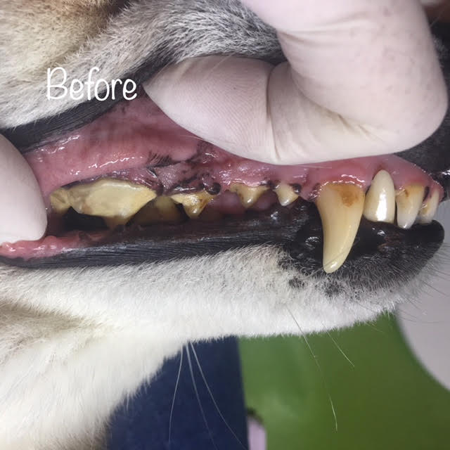 Before Before