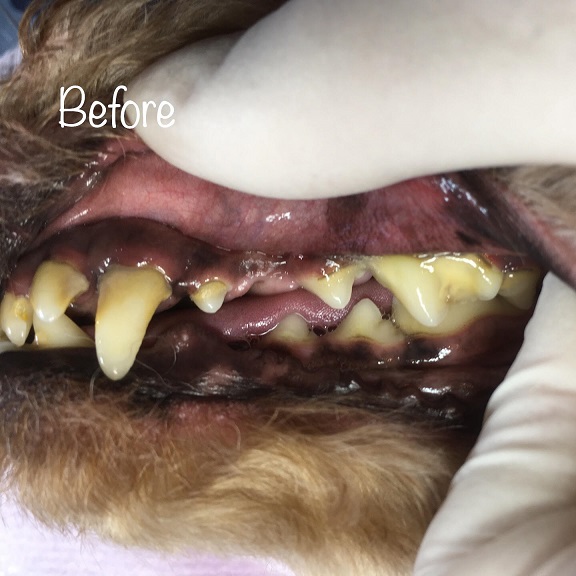 Before Before
