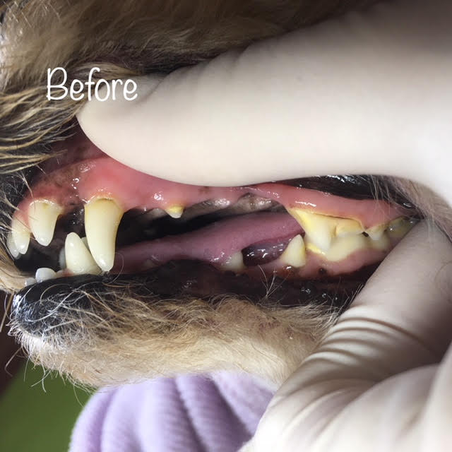 Before Before