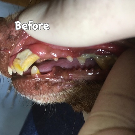 Before Before
