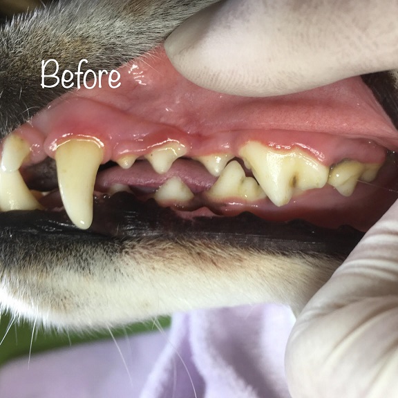 Before Before