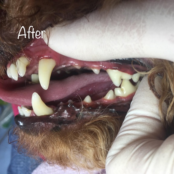 After After