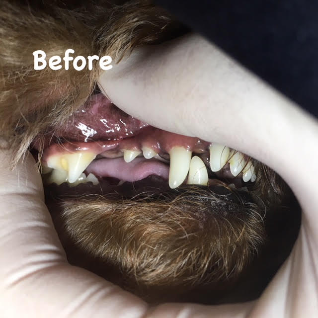 Before Before