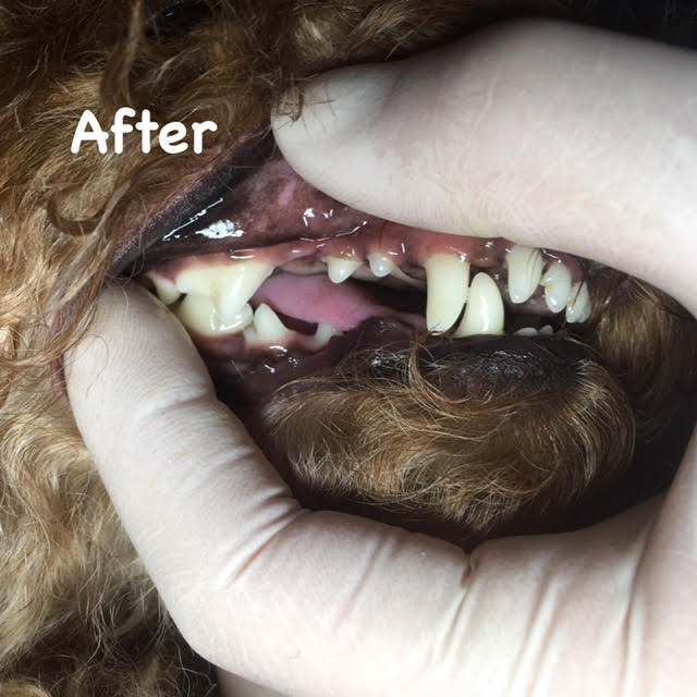 After After