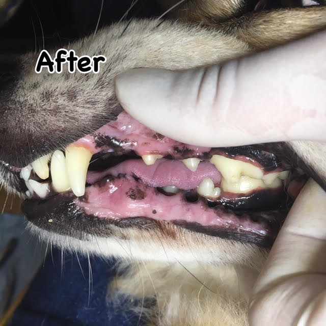 After After