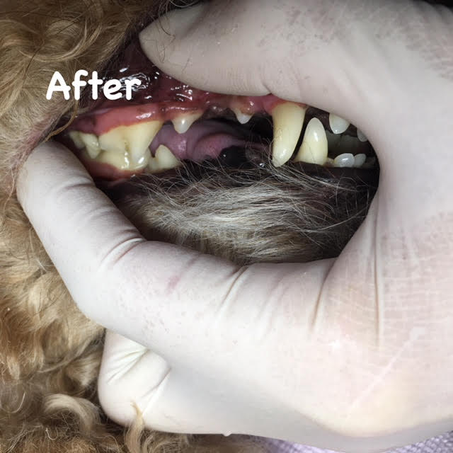 After After