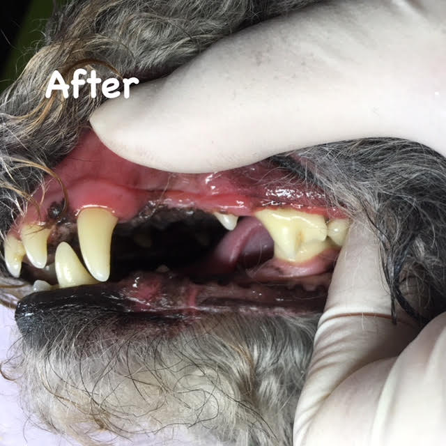 After After