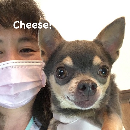 Cheese Cheese