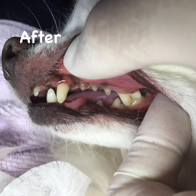 After After