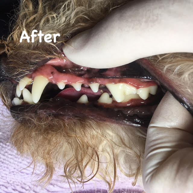 After After