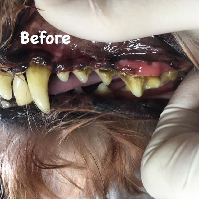 Before Before