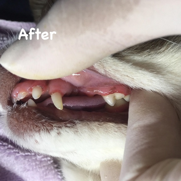 After After