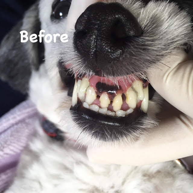 Before Before
