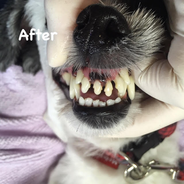 After After