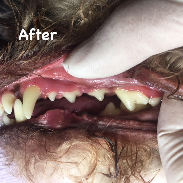 After After